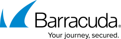 BarracudaLogo_300x62